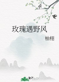 玫瑰遇野风 封面