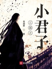 三国之小君子 封面