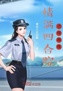情满四合院之何雨柱 封面