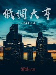 低调大亨 封面