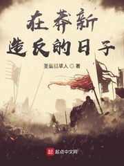 在莽新造反的日子 封面