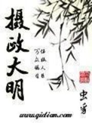摄政大明 封面