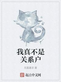 我真不是关系户 封面