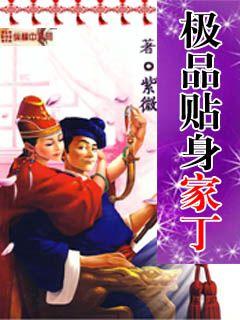 极品贴身家丁 封面