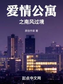 爱情公寓之南风过境 封面