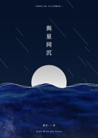 与星同沉 封面