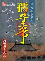 孺子帝 封面