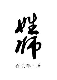 姓师 封面
