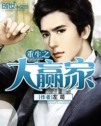 重生之大赢家 封面