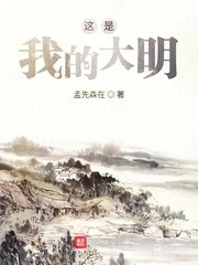 这是我的大明 封面