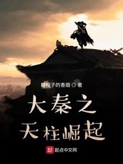 大秦之天柱崛起最新 封面