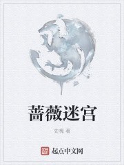 蔷薇迷宫 封面