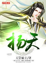 扬天 封面