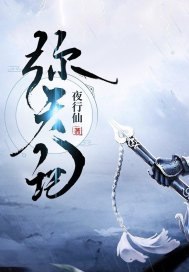 弥天记 封面