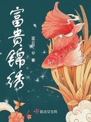 富贵锦绣 封面