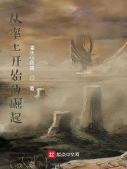 从率土开始的崛起 封面