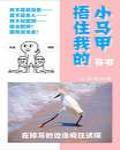 裹紧我的小马甲 封面