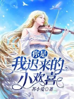 你是我迟来的小欢喜 封面