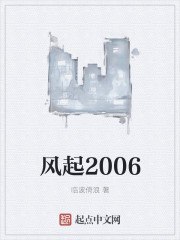 风起2006 封面