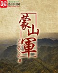 蒙山军 封面