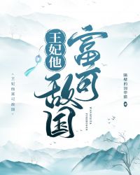 王妃他富可敌国 封面