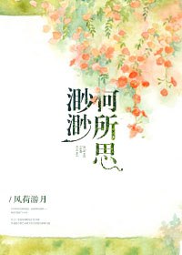 渺渺何所思 封面
