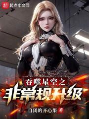 吞噬星空之非常规升级 封面