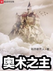 奥术之主 封面