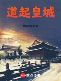道起皇城 封面