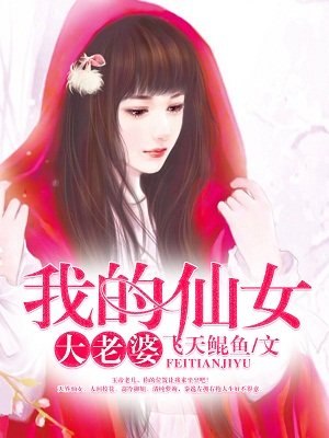 我的仙女大老婆 封面