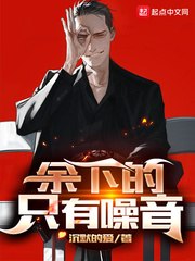 余下的，只有噪音余下皆是噪音 封面