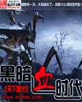 黑暗血时代 封面