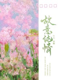 故意纯情 封面
