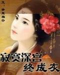 寂寞深宫终成灰 封面