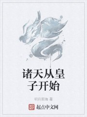 诸天从皇子开始 封面
