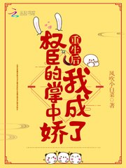 南宝衣萧弈 封面