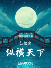 红楼之纵横天下 封面