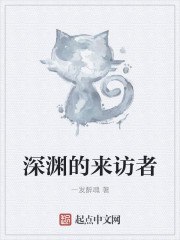 深渊的来访者 封面