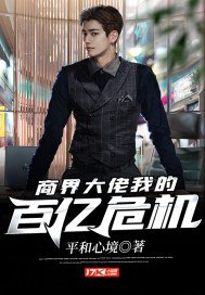 商界大佬我的百亿危机 封面