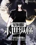 轮回眼末世纵横 封面