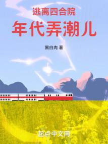 逃离四合院：年代弄潮儿 封面