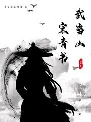武当山宋青书 封面