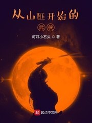 从山匪开始的武侠 封面